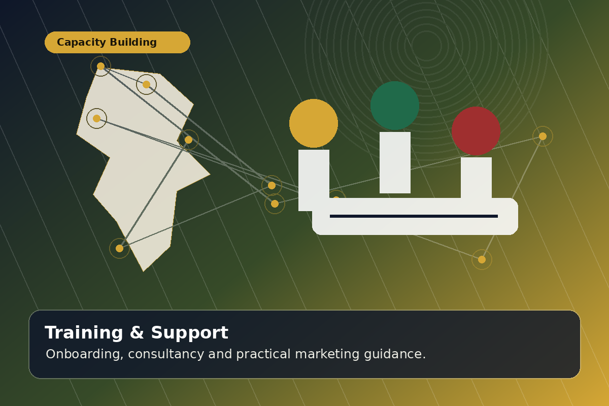 Training workshop for African entrepreneurs and digital marketers